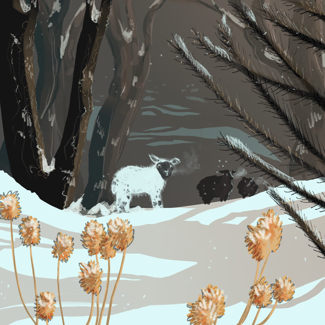 Digital Illustration Print: Frost ❄