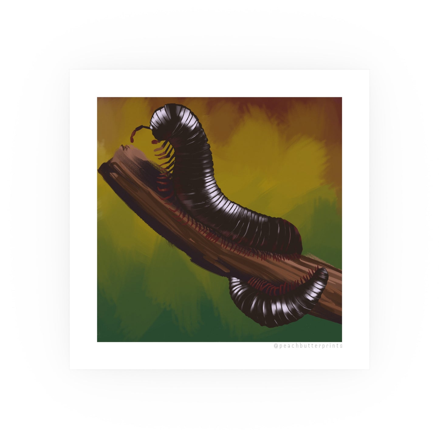 Digital Illustration Print: Undulate 🐛